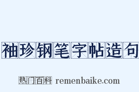 袖珍钢笔字帖造句是什么意思的图片